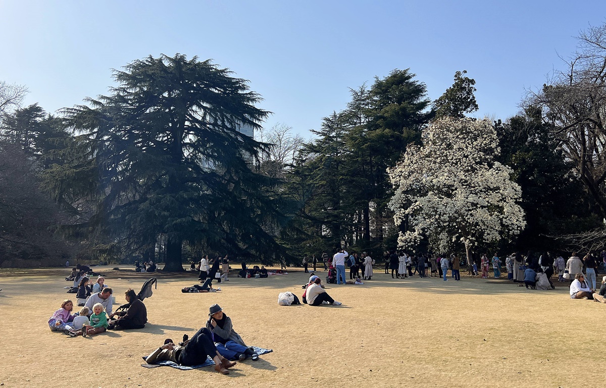 當皇家日常成為市民生活雅集！不是觀光打卡，是周末生活，一同走進東京人共享的皇家園林｜新宿御苑的春日賞櫻散步紀行 @。CJ夫人。