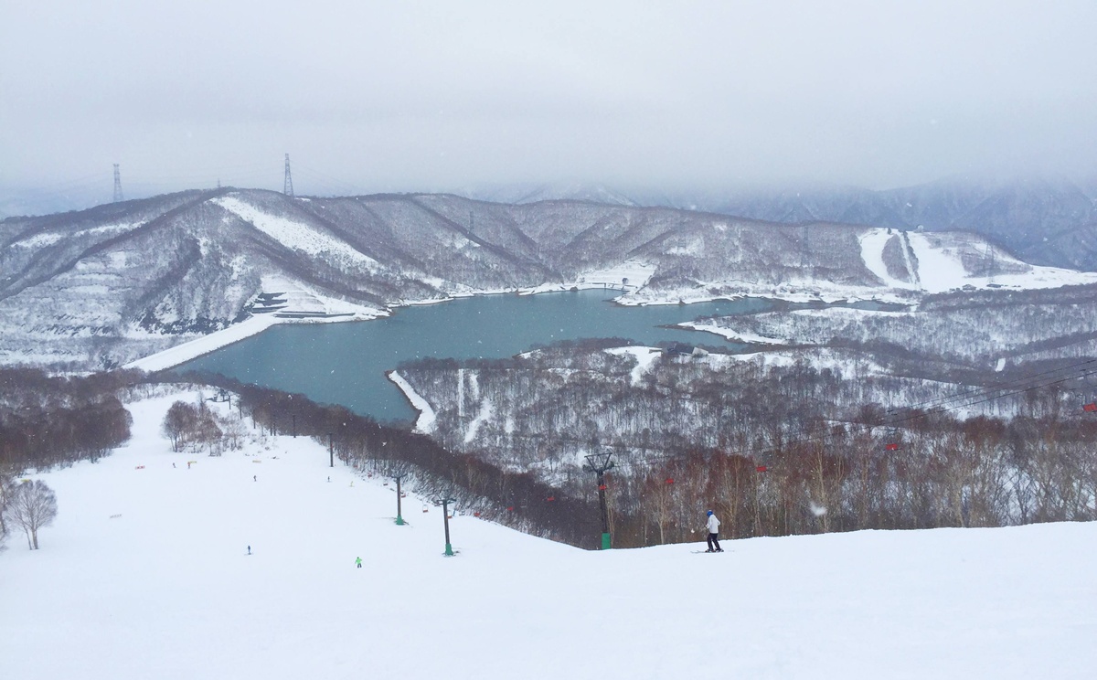 日本熊出沒注意！新潟、秋田或北海道滑雪場會遇到熊嗎？第一次去滑雪的滑雪新手需要知道的7件事 @。CJ夫人。