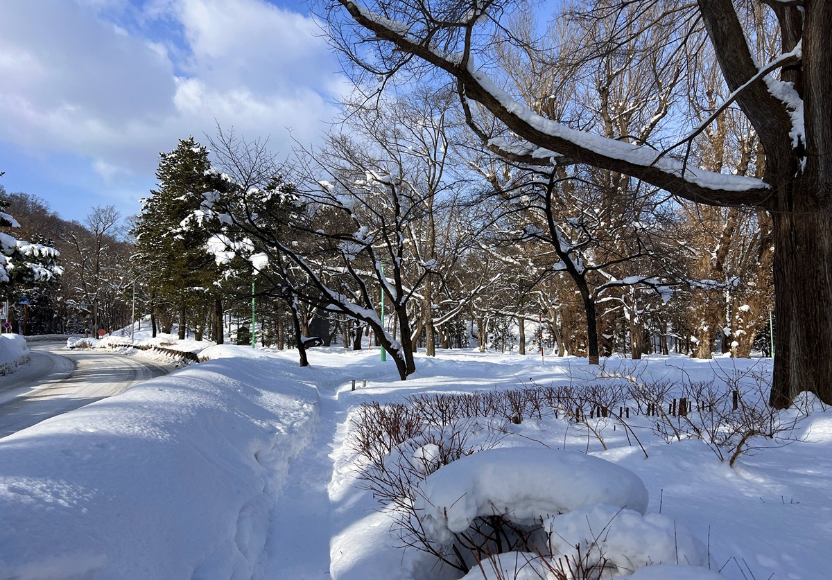 出發滑雪之前一定要先看過！第一次去北海道札幌、小樽滑雪通常要注意的11件事 @。CJ夫人。