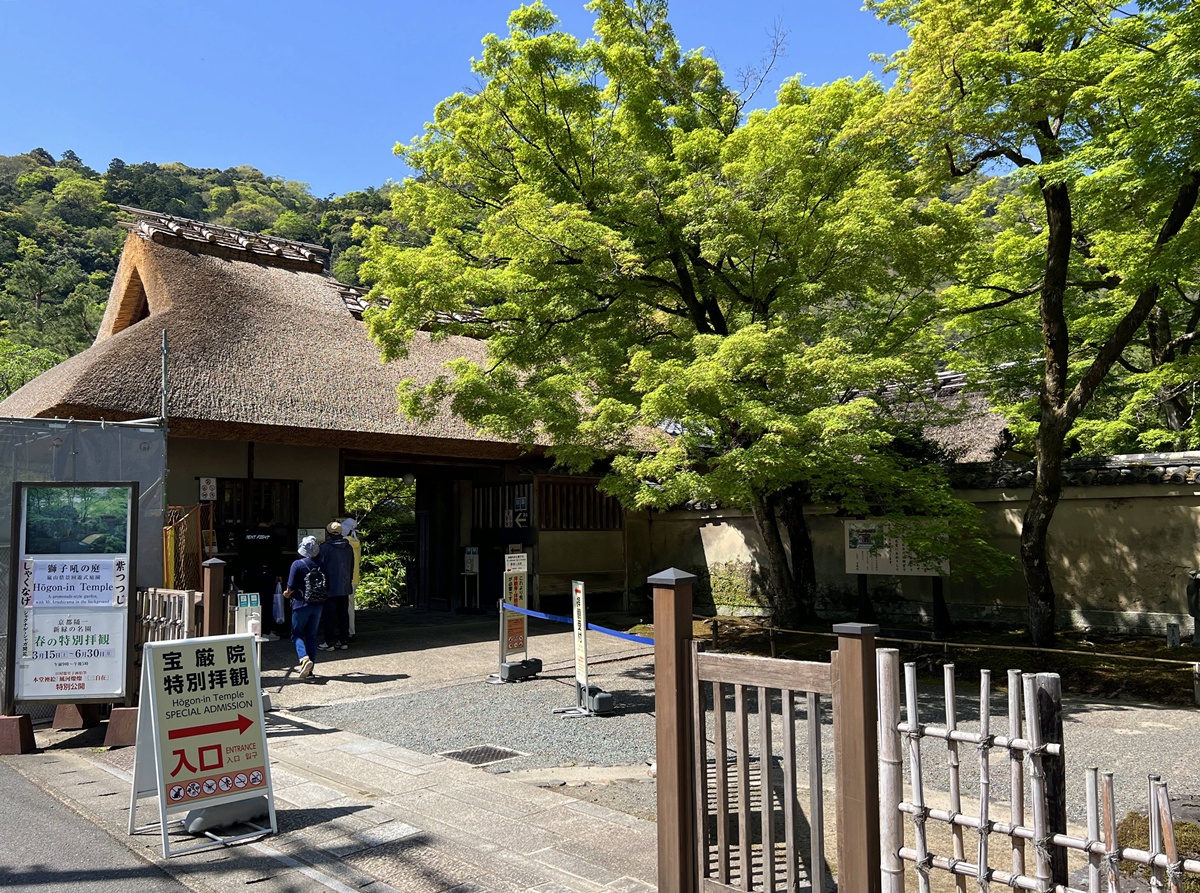 嵐山青楓的翠綠色，是一封初夏使者率先捎來的手稿｜京都嵐山天龍寺旁的寶嚴院／宝嚴院｜春秋特別拝觀限定開放 @。CJ夫人。