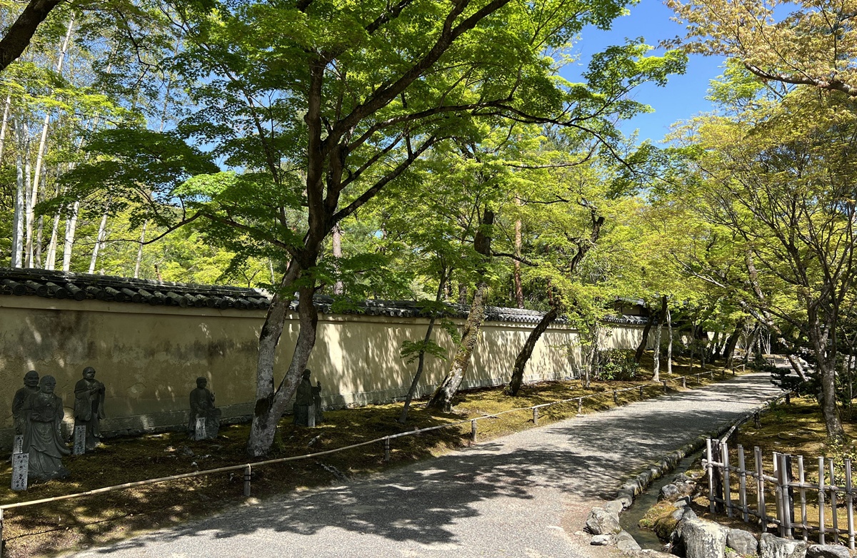 嵐山青楓的翠綠色，是一封初夏使者率先捎來的手稿｜京都嵐山天龍寺旁的寶嚴院／宝嚴院｜春秋特別拝觀限定開放 @。CJ夫人。