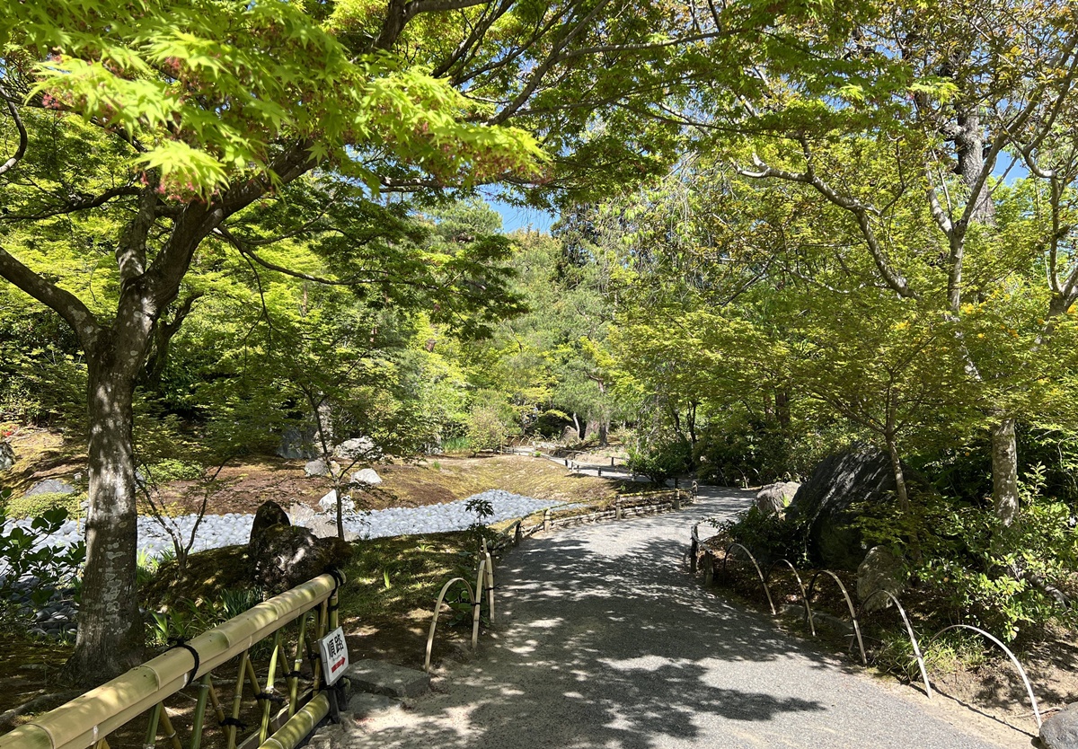 嵐山青楓的翠綠色，是一封初夏使者率先捎來的手稿｜京都嵐山天龍寺旁的寶嚴院／宝嚴院｜春秋特別拝觀限定開放 @。CJ夫人。