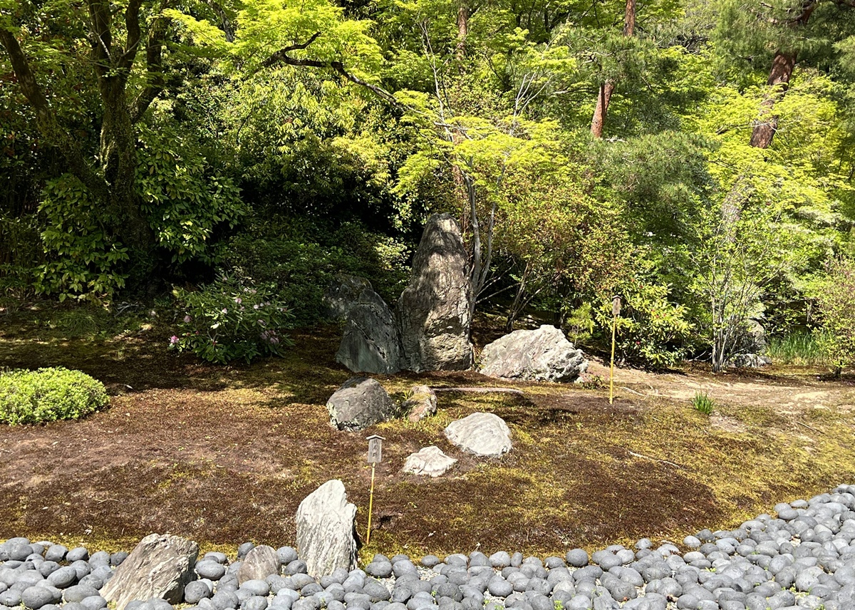 嵐山青楓的翠綠色，是一封初夏使者率先捎來的手稿｜京都嵐山天龍寺旁的寶嚴院／宝嚴院｜春秋特別拝觀限定開放 @。CJ夫人。