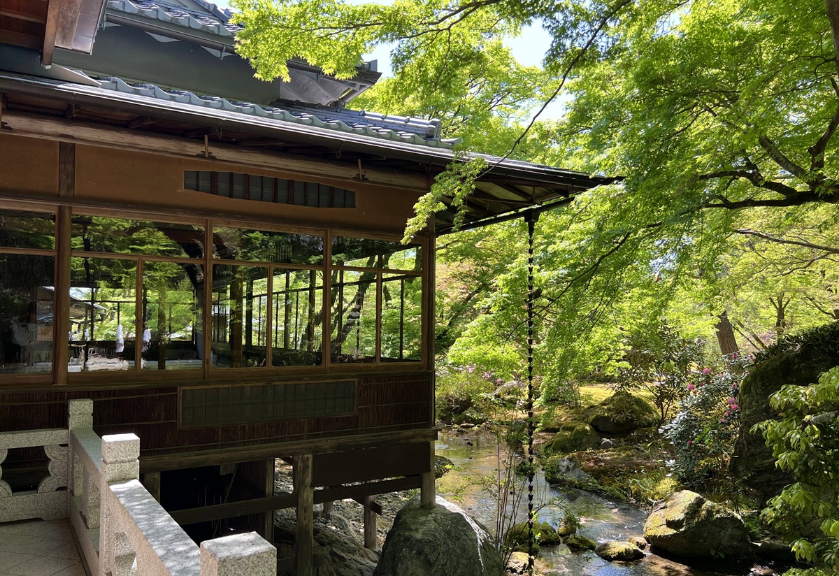 嵐山青楓的翠綠色，是一封初夏使者率先捎來的手稿｜京都嵐山天龍寺旁的寶嚴院／宝嚴院｜春秋特別拝觀限定開放 @。CJ夫人。