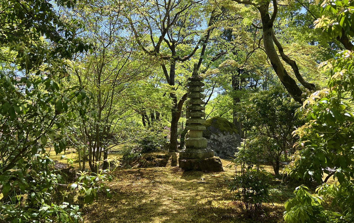 嵐山青楓的翠綠色，是一封初夏使者率先捎來的手稿｜京都嵐山天龍寺旁的寶嚴院／宝嚴院｜春秋特別拝觀限定開放 @。CJ夫人。