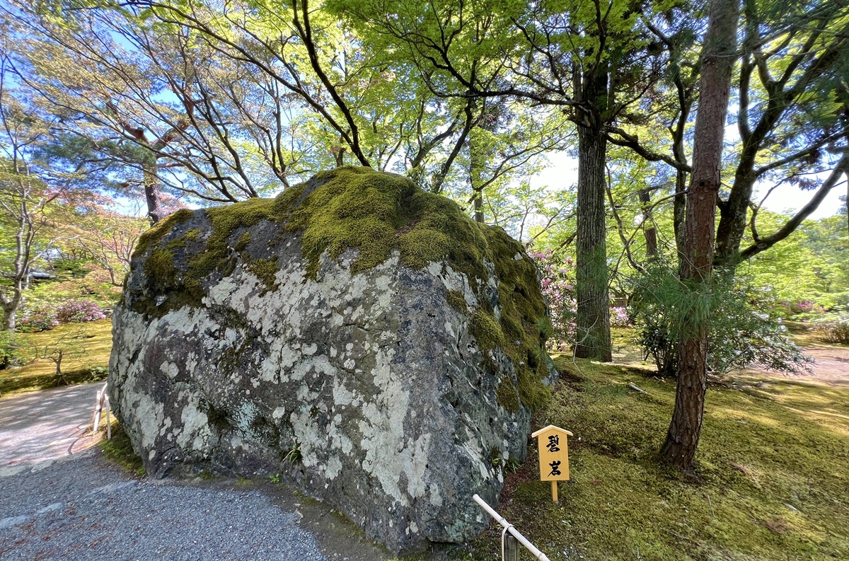 嵐山青楓的翠綠色，是一封初夏使者率先捎來的手稿｜京都嵐山天龍寺旁的寶嚴院／宝嚴院｜春秋特別拝觀限定開放 @。CJ夫人。
