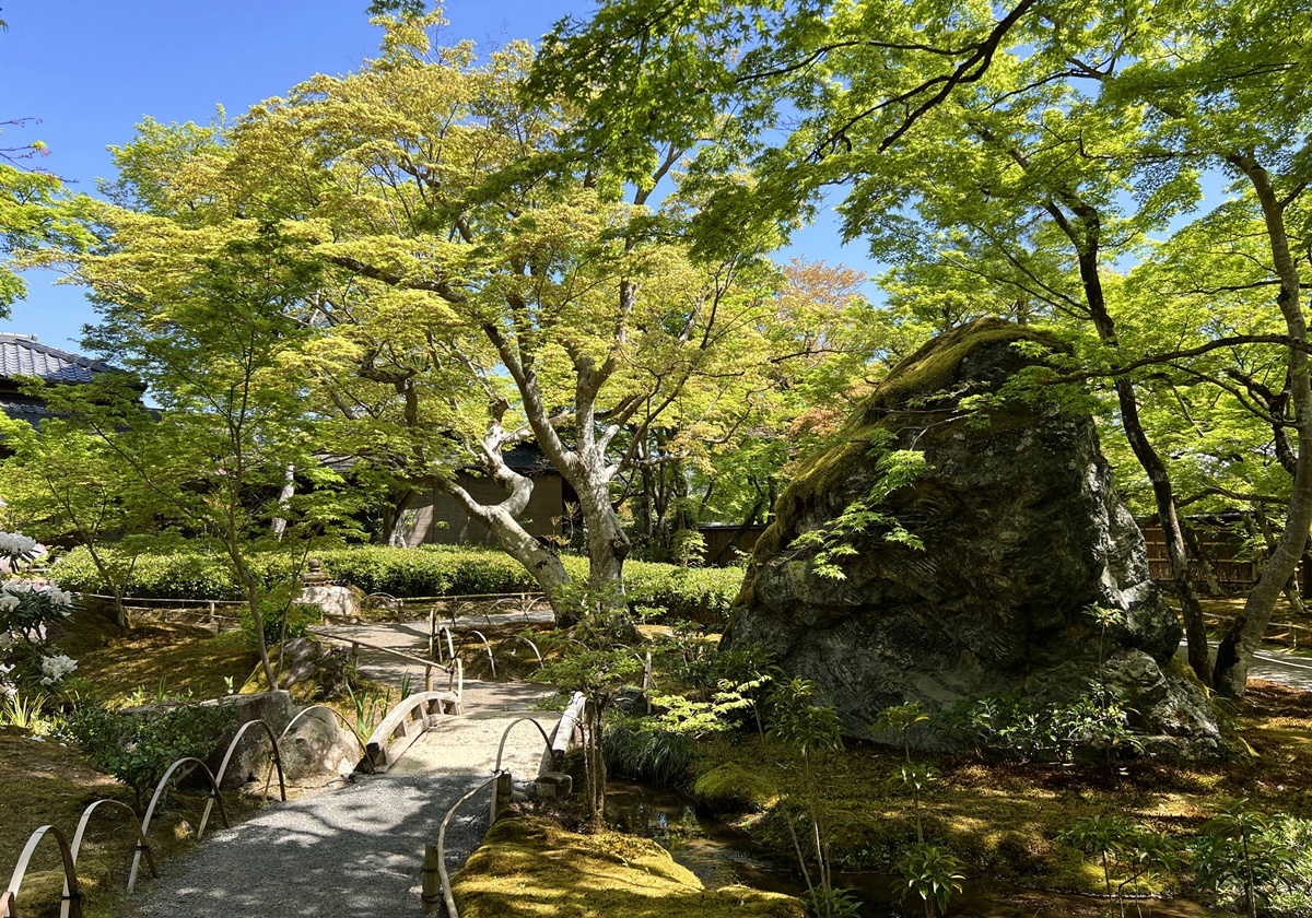 嵐山青楓的翠綠色，是一封初夏使者率先捎來的手稿｜京都嵐山天龍寺旁的寶嚴院／宝嚴院｜春秋特別拝觀限定開放 @。CJ夫人。