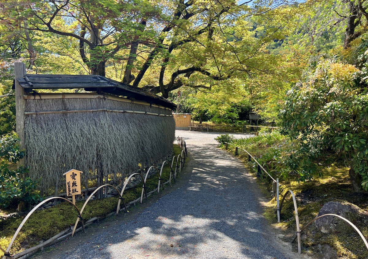 嵐山青楓的翠綠色，是一封初夏使者率先捎來的手稿｜京都嵐山天龍寺旁的寶嚴院／宝嚴院｜春秋特別拝觀限定開放 @。CJ夫人。