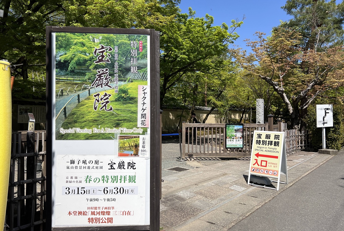 嵐山青楓的翠綠色，是一封初夏使者率先捎來的手稿｜京都嵐山天龍寺旁的寶嚴院／宝嚴院｜春秋特別拝觀限定開放 @。CJ夫人。