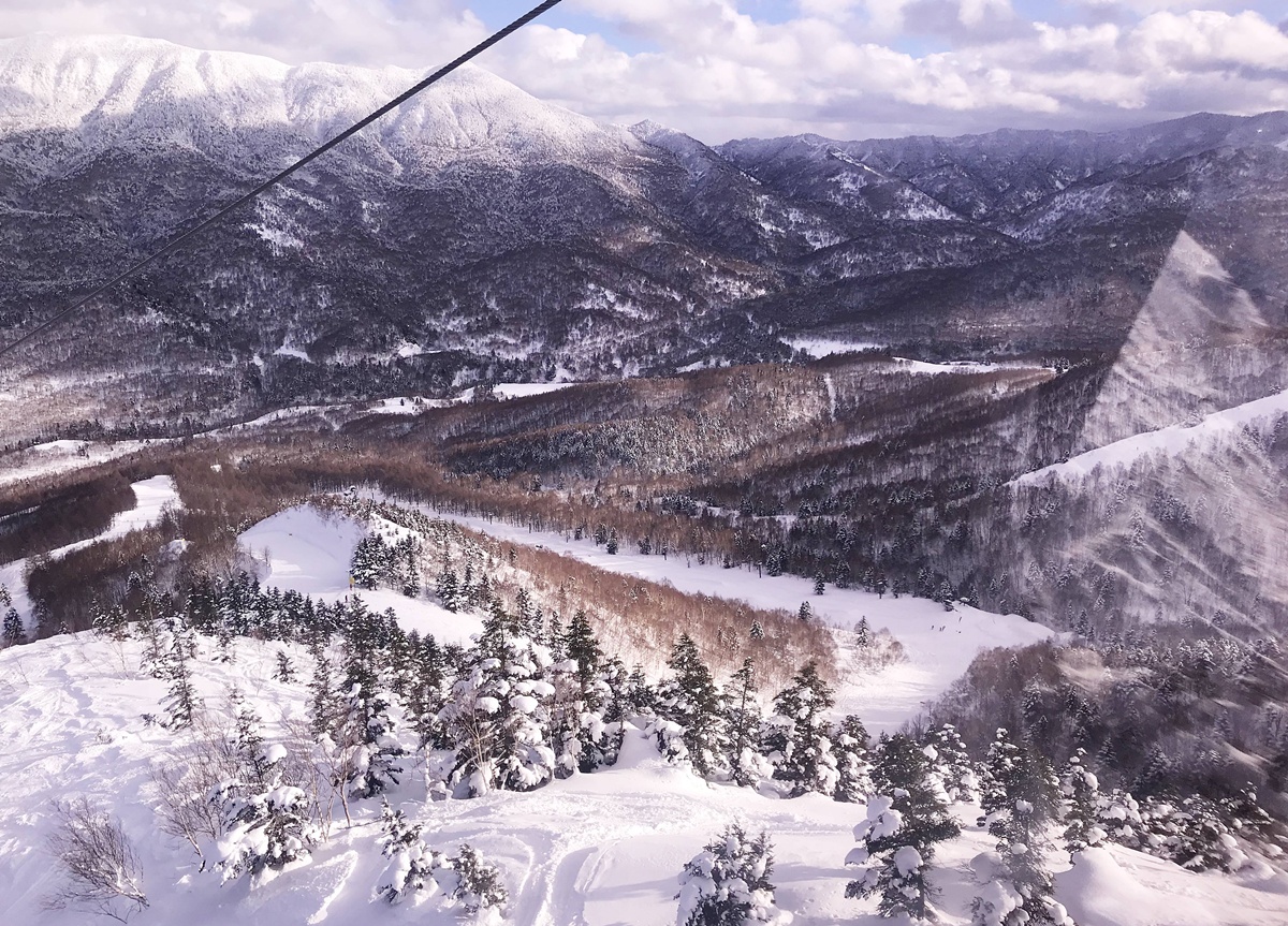 日本熊出沒注意！新潟、秋田或北海道滑雪場會遇到熊嗎？第一次去滑雪的滑雪新手需要知道的7件事 @。CJ夫人。