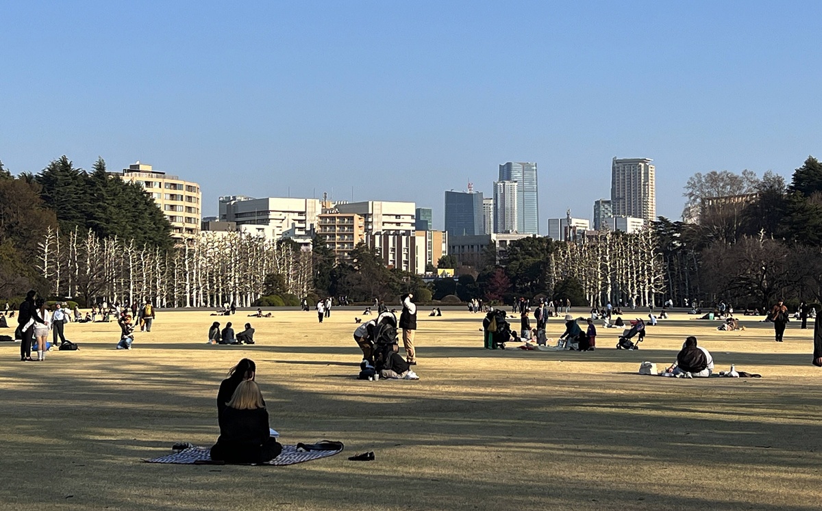當皇家日常成為市民生活雅集！不是觀光打卡，是周末生活，一同走進東京人共享的皇家園林｜新宿御苑的春日賞櫻散步紀行 @。CJ夫人。