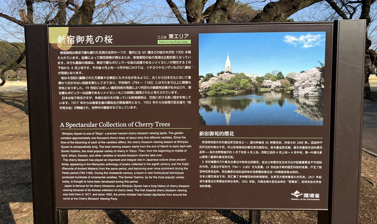 當皇家日常成為市民生活雅集！不是觀光打卡，是周末生活，一同走進東京人共享的皇家園林｜新宿御苑的春日賞櫻散步紀行 @。CJ夫人。