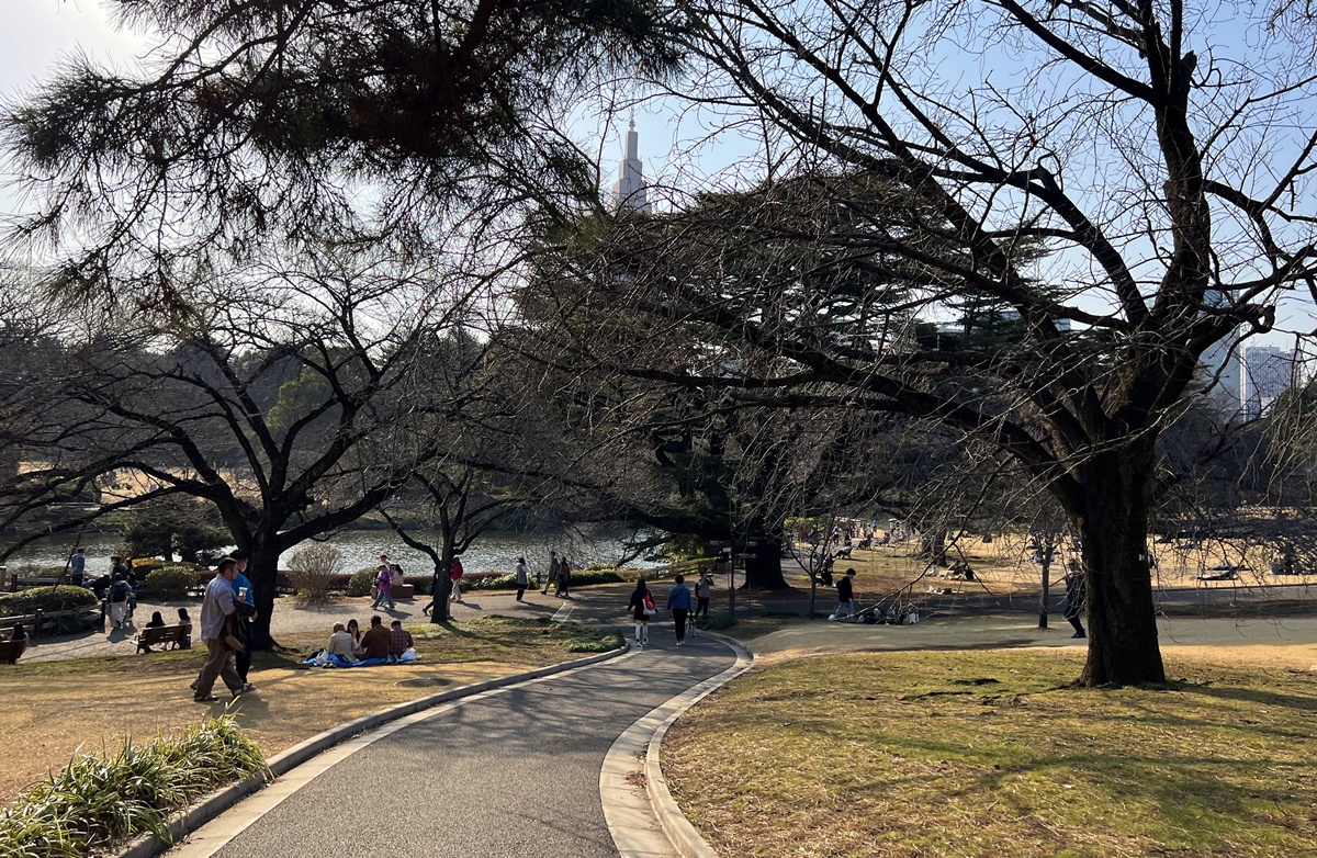 當皇家日常成為市民生活雅集！不是觀光打卡，是周末生活，一同走進東京人共享的皇家園林｜新宿御苑的春日賞櫻散步紀行 @。CJ夫人。