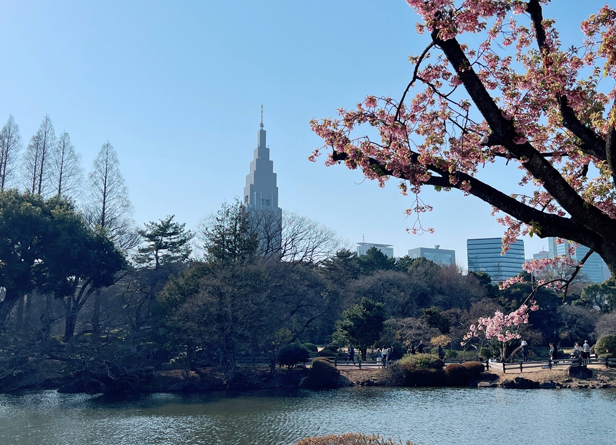 當皇家日常成為市民生活雅集！不是觀光打卡，是周末生活，一同走進東京人共享的皇家園林｜新宿御苑的春日賞櫻散步紀行 @。CJ夫人。