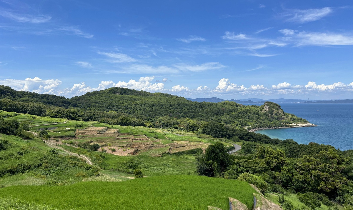 在無物之中，看見世界最豐盈的模樣！千萬別錯過一場與自然共呼吸的藝術時刻｜日本瀨戶內海跳島自由行 豐島美術館 @。CJ夫人。