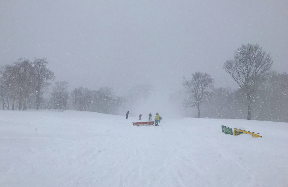 日本熊出沒注意！新潟、秋田或北海道滑雪場會遇到熊嗎？第一次去滑雪的滑雪新手需要知道的7件事 @。CJ夫人。