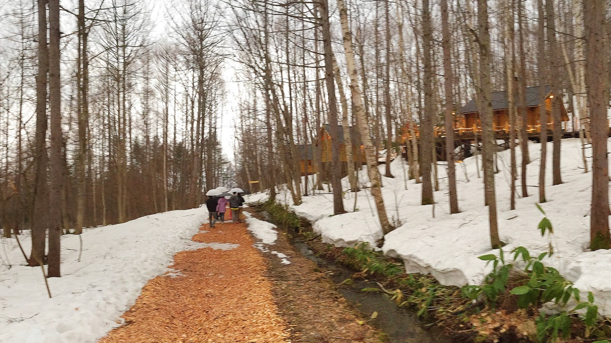 深冬雪林的慢旅詩篇!跟著森林系文青探訪日劇男主角經營的老派磨豆咖啡廳|北海道富良野 森林精靈露臺與森の時計 @。CJ夫人。 深冬雪林的慢旅詩篇!跟著森林系文青探訪日劇男主角經營的老派磨豆咖啡廳|北海道富良野 森林精靈露臺與森の時計 @。CJ夫人。