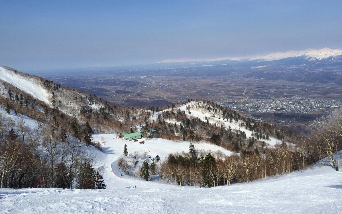 深冬雪林的慢旅詩篇!跟著森林系文青探訪日劇男主角經營的老派磨豆咖啡廳|北海道富良野 森林精靈露臺與森の時計 @。CJ夫人。 深冬雪林的慢旅詩篇!跟著森林系文青探訪日劇男主角經營的老派磨豆咖啡廳|北海道富良野 森林精靈露臺與森の時計 @。CJ夫人。