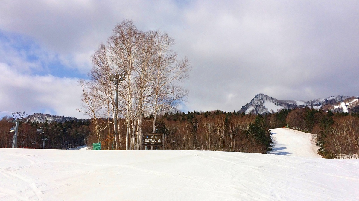 深冬雪林的慢旅詩篇!跟著森林系文青探訪日劇男主角經營的老派磨豆咖啡廳|北海道富良野 森林精靈露臺與森の時計 @。CJ夫人。 深冬雪林的慢旅詩篇!跟著森林系文青探訪日劇男主角經營的老派磨豆咖啡廳|北海道富良野 森林精靈露臺與森の時計 @。CJ夫人。