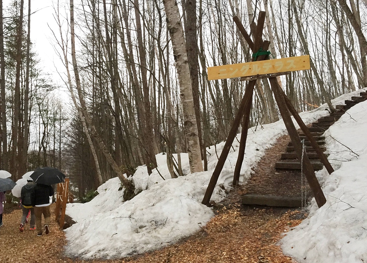 深冬雪林的慢旅詩篇!跟著森林系文青探訪日劇男主角經營的老派磨豆咖啡廳|北海道富良野 森林精靈露臺與森の時計 @。CJ夫人。 深冬雪林的慢旅詩篇!跟著森林系文青探訪日劇男主角經營的老派磨豆咖啡廳|北海道富良野 森林精靈露臺與森の時計 @。CJ夫人。