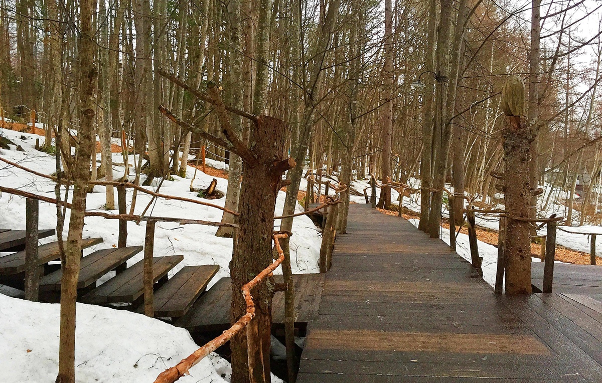 深冬雪林的慢旅詩篇!跟著森林系文青探訪日劇男主角經營的老派磨豆咖啡廳|北海道富良野 森林精靈露臺與森の時計 @。CJ夫人。 深冬雪林的慢旅詩篇!跟著森林系文青探訪日劇男主角經營的老派磨豆咖啡廳|北海道富良野 森林精靈露臺與森の時計 @。CJ夫人。