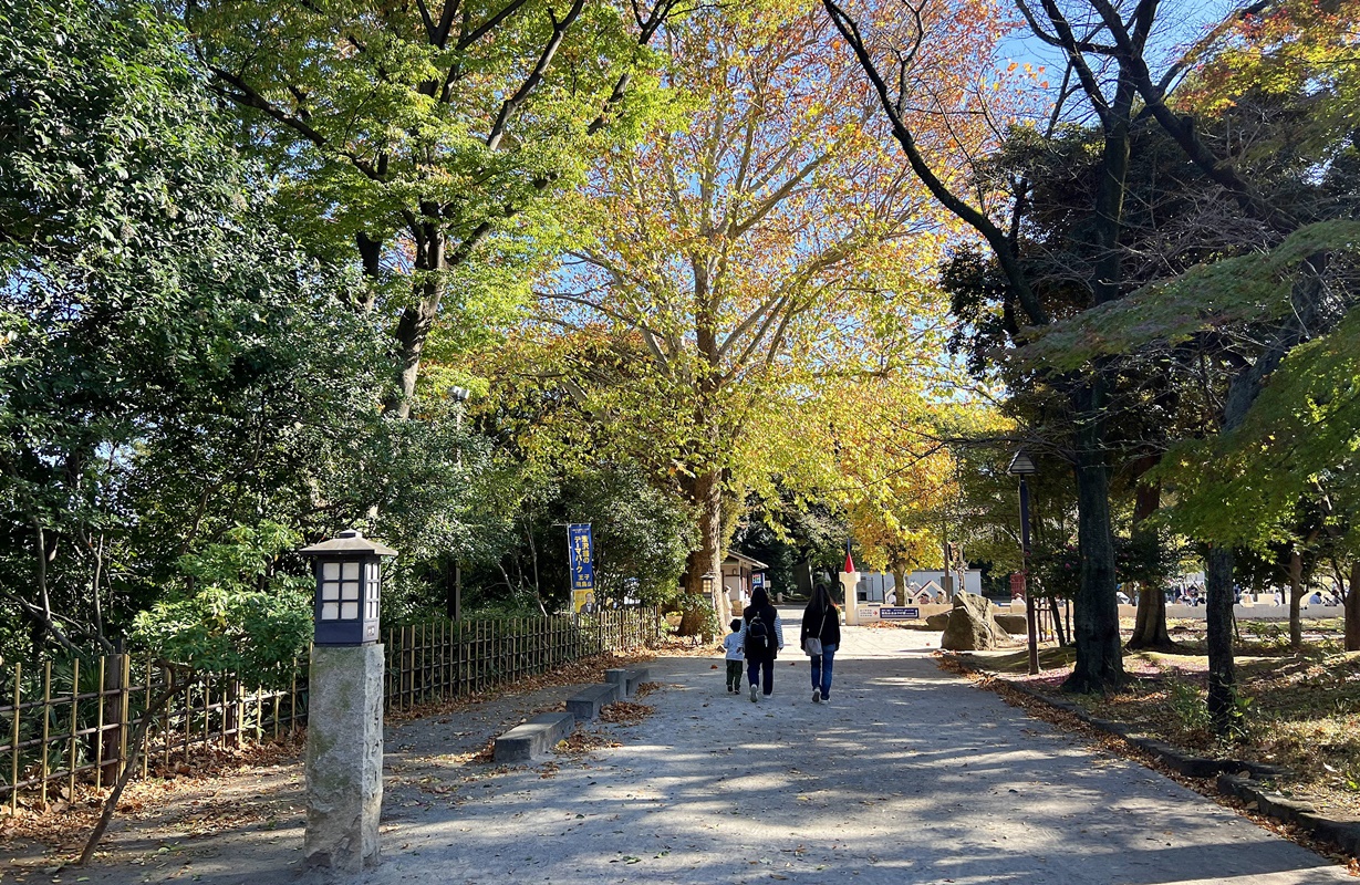 穿越東京庶民風景的的復古小電車！與汽車、自行車與行人共享馬路，來鐵軌旁相會吧！｜東京都電荒川線 @。CJ夫人。