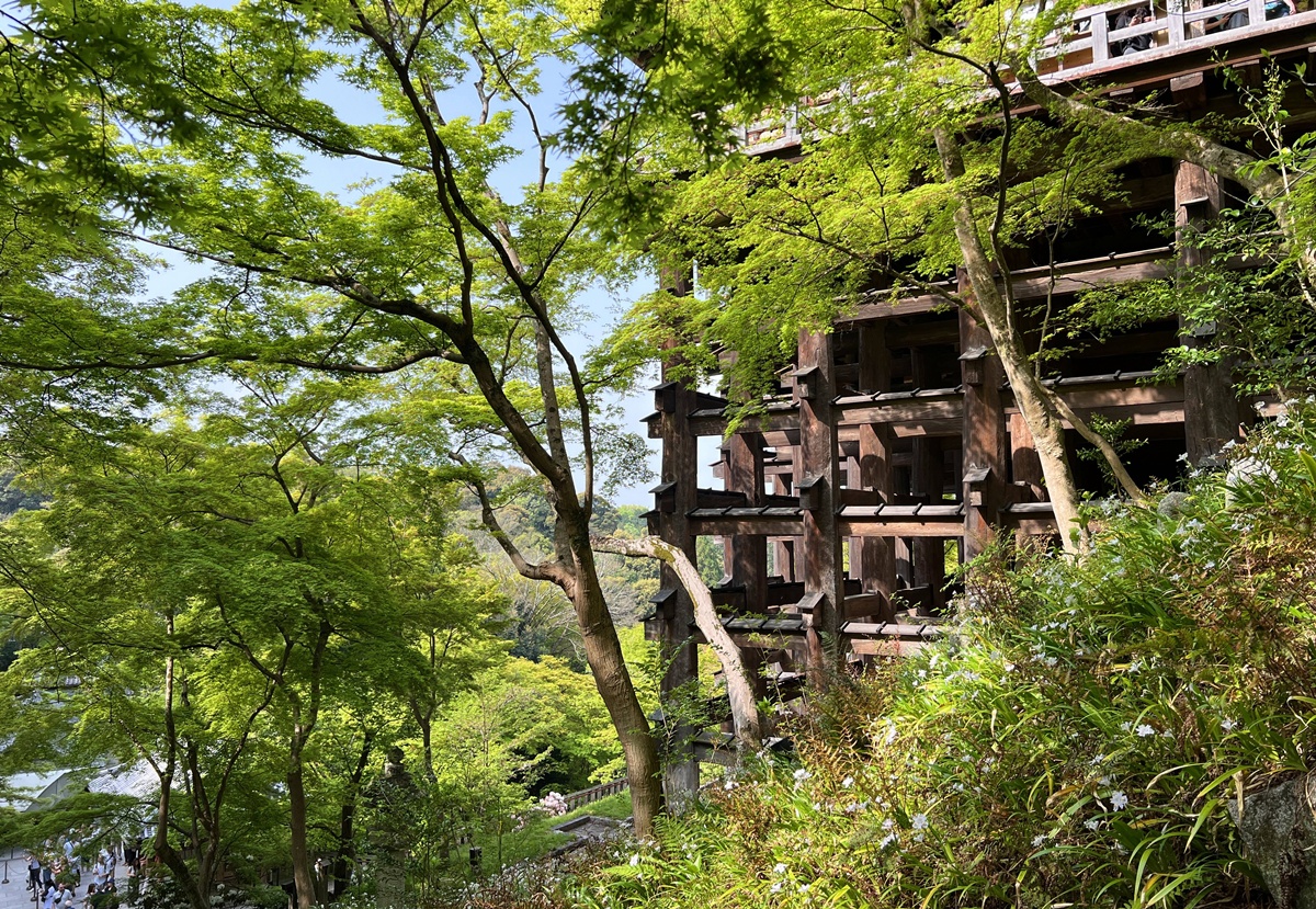 從二年坂、三年坂、清水寺走進心底願望的縫隙裡|無論自由行或跟團都一定要來的京都世界遺產-京都清水寺與最值得許願的12個瞬間 @。CJ夫人。 從二年坂、三年坂、清水寺走進心底願望的縫隙裡|無論自由行或跟團都一定要來的京都世界遺產-京都清水寺與最值得許願的12個瞬間 @。CJ夫人。