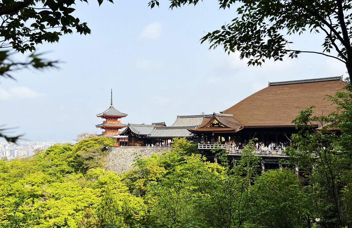 網站近期文章:從二年坂、三年坂、清水寺走進心底願望的縫隙裡|無論自由行或跟團都一定要來的京都世界遺產-京都清水寺與最值得許願的12個瞬間 鄂霍次克海破冰航行初體驗!三月上旬的北海道紋別流冰所剩無幾,卻是顯極地風光可貴與可遇不可求|北海道道東 紋別破冰觀光郵輪(Mombetsu Garinko-go) @。CJ夫人。