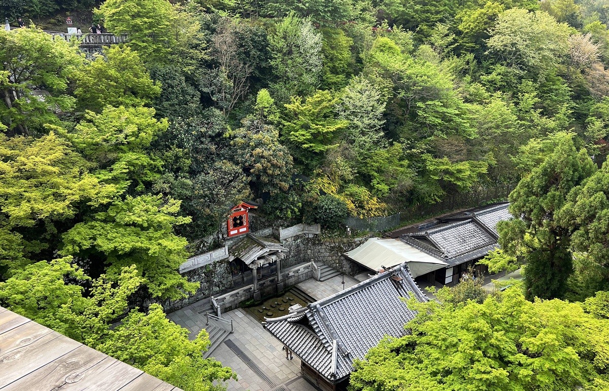 從二年坂、三年坂、清水寺走進心底願望的縫隙裡|無論自由行或跟團都一定要來的京都世界遺產-京都清水寺與最值得許願的12個瞬間 @。CJ夫人。 從二年坂、三年坂、清水寺走進心底願望的縫隙裡|無論自由行或跟團都一定要來的京都世界遺產-京都清水寺與最值得許願的12個瞬間 @。CJ夫人。