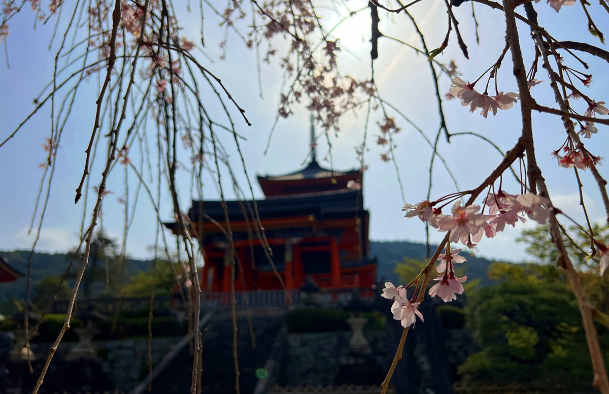 從二年坂、三年坂、清水寺走進心底願望的縫隙裡｜無論自由行或跟團都一定要來的京都世界遺產－京都清水寺與最值得許願的12個瞬間 @。CJ夫人。