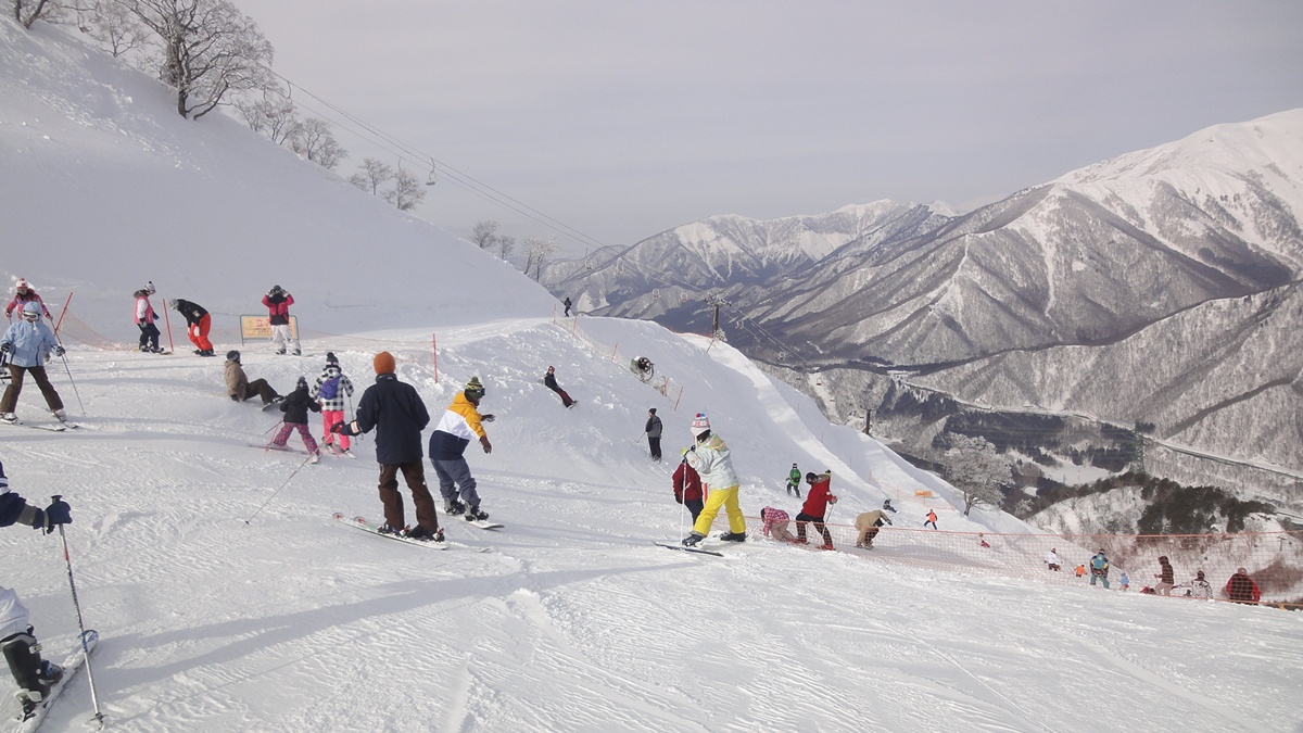 如何挑選適合新手的滑雪教練?滑雪教練價格落差大,學員評價難以辨別?究竟哪些教學經驗適合新手滑雪教練? @。CJ夫人。 如何挑選適合新手的滑雪教練?滑雪教練價格落差大,學員評價難以辨別?究竟哪些教學經驗適合新手滑雪教練? @。CJ夫人。