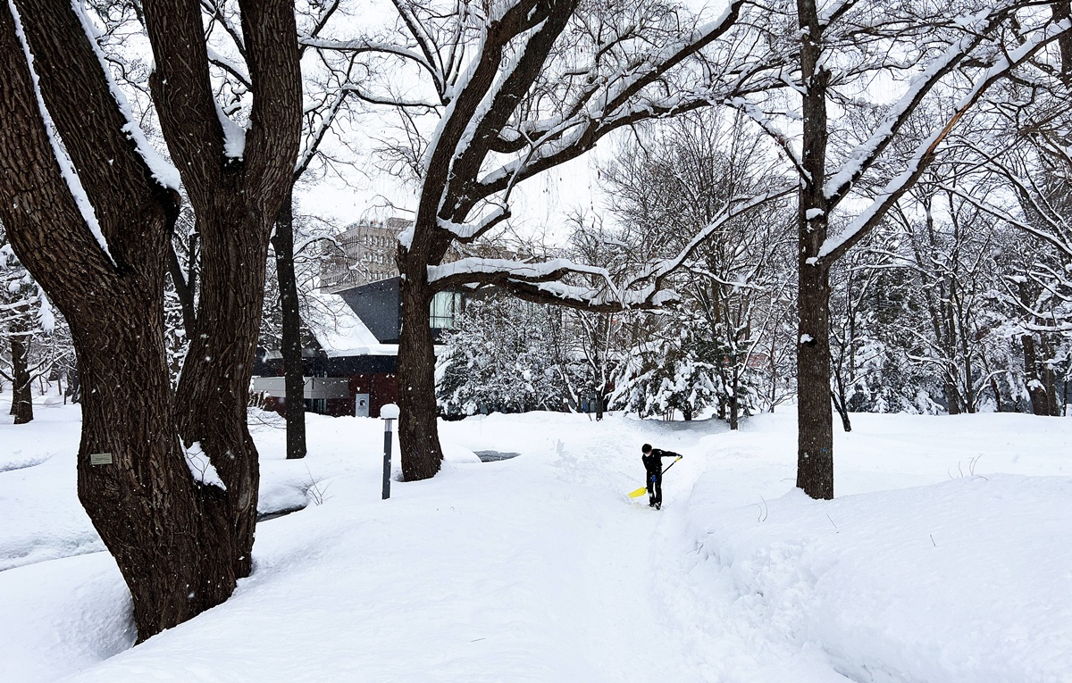 2 月是北海道冬季的完全體：一個不需要刻意美化、也無法對抗的極度嚴寒冬日版本 @。CJ夫人。