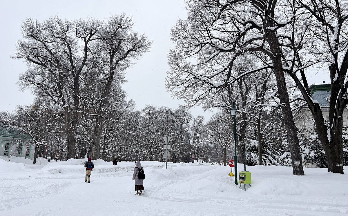 零下3度/-3°C 也能在北海道冬季雪地優雅旅行?從氣溫、體感、穿搭到行程安排的完整攻略 @。CJ夫人。 零下3度/-3°C 也能在北海道冬季雪地優雅旅行?從氣溫、體感、穿搭到行程安排的完整攻略 @。CJ夫人。
