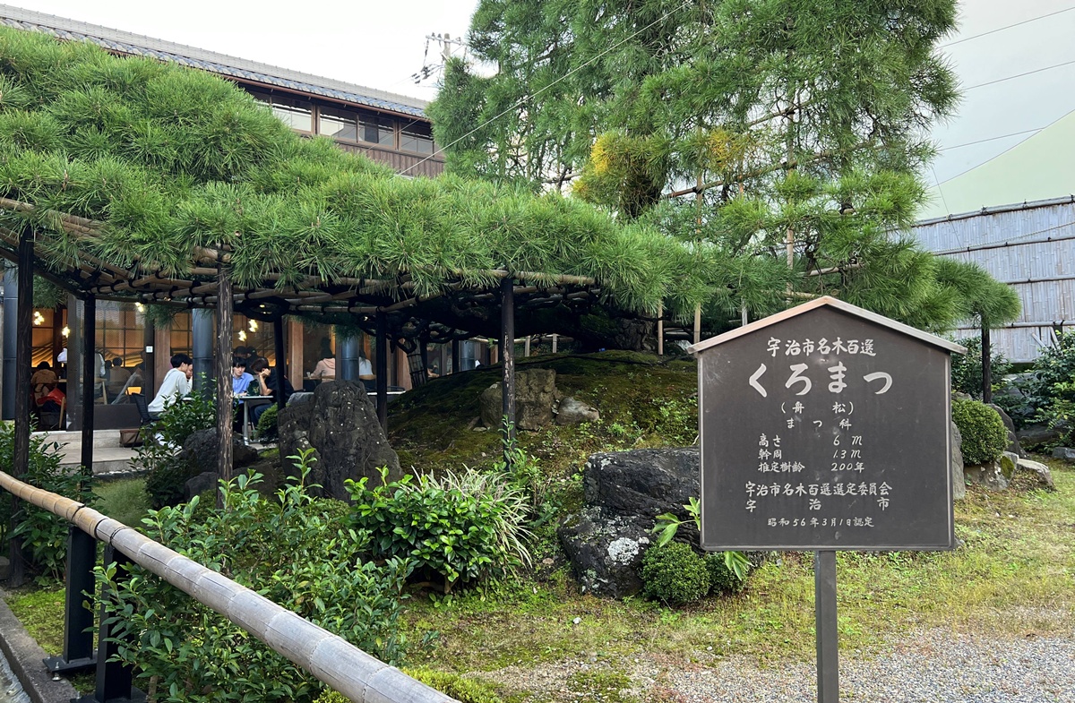 前進宇治抹茶中心地。尋一壺中村藤吉的抹茶與抹茶聖代，其實就像一個完整的日本抹茶圖鑑｜京都宇治中村藤吉本店 @。CJ夫人。