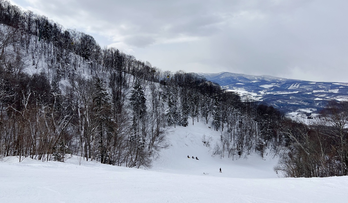 找到屬於你的滑雪風景!獻給也喜歡慢悠悠享受天然地形與森林之間的天然滑雪道的你。 @。CJ夫人。 找到屬於你的滑雪風景!獻給也喜歡慢悠悠享受天然地形與森林之間的天然滑雪道的你。 @。CJ夫人。