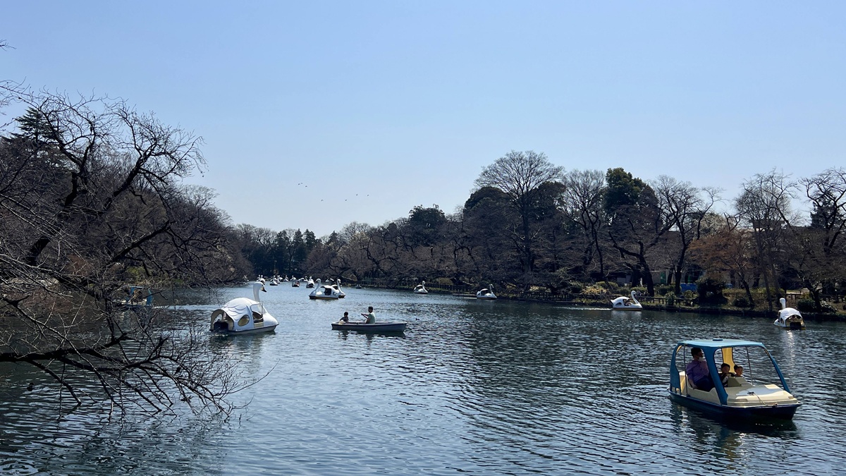 像日劇那樣過一個春天!東京三月的櫻花拍照觀察,與15座東京賞櫻名所與櫻花公園散步全紀錄,首推上野恩賜公園、新宿御苑、井之頭恩賜公園 @。CJ夫人。 像日劇那樣過一個春天!東京三月的櫻花拍照觀察,與15座東京賞櫻名所與櫻花公園散步全紀錄,首推上野恩賜公園、新宿御苑、井之頭恩賜公園 @。CJ夫人。