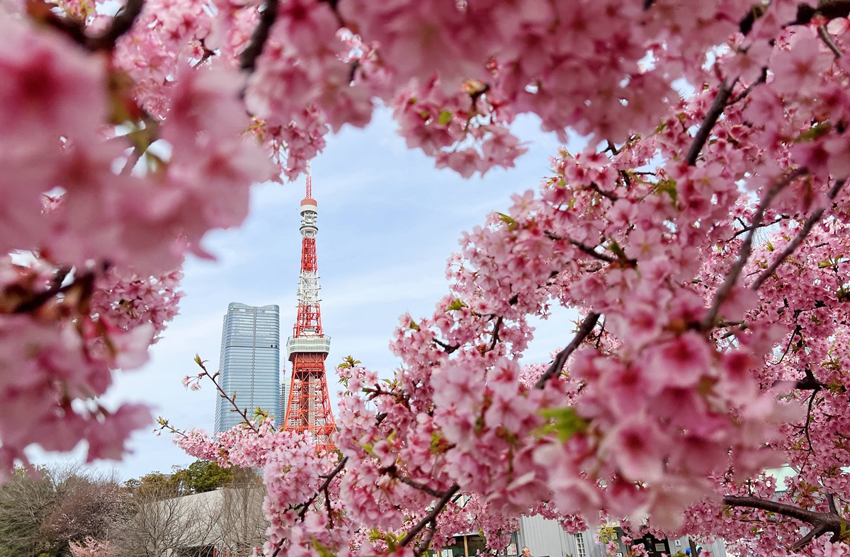 像日劇那樣過一個春天!東京三月的櫻花拍照觀察,與15座東京賞櫻名所與櫻花公園散步全紀錄,首推上野恩賜公園、新宿御苑、井之頭恩賜公園 @。CJ夫人。 像日劇那樣過一個春天!東京三月的櫻花拍照觀察,與15座東京賞櫻名所與櫻花公園散步全紀錄,首推上野恩賜公園、新宿御苑、井之頭恩賜公園 @。CJ夫人。