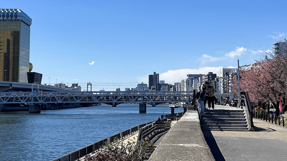 像日劇那樣過一個春天!東京三月的櫻花拍照觀察,與15座東京賞櫻名所與櫻花公園散步全紀錄,首推上野恩賜公園、新宿御苑、井之頭恩賜公園 @。CJ夫人。 像日劇那樣過一個春天!東京三月的櫻花拍照觀察,與15座東京賞櫻名所與櫻花公園散步全紀錄,首推上野恩賜公園、新宿御苑、井之頭恩賜公園 @。CJ夫人。