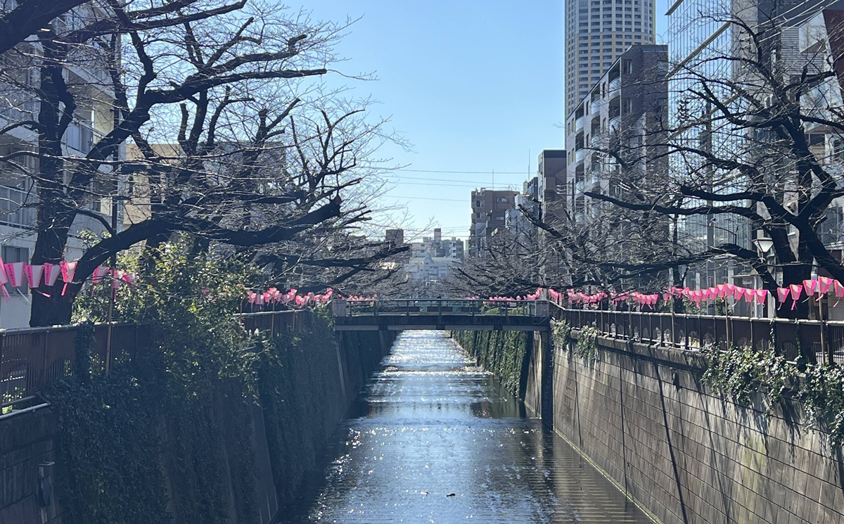 像日劇那樣過一個春天!東京三月的櫻花拍照觀察,與15座東京賞櫻名所與櫻花公園散步全紀錄,首推上野恩賜公園、新宿御苑、井之頭恩賜公園 @。CJ夫人。 像日劇那樣過一個春天!東京三月的櫻花拍照觀察,與15座東京賞櫻名所與櫻花公園散步全紀錄,首推上野恩賜公園、新宿御苑、井之頭恩賜公園 @。CJ夫人。