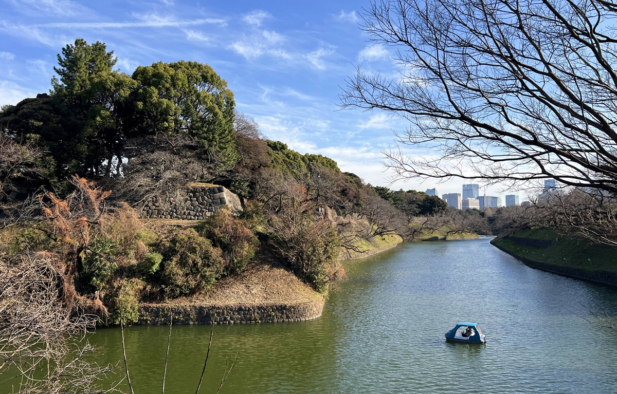 像日劇那樣過一個春天!東京三月的櫻花拍照觀察,與15座東京賞櫻名所與櫻花公園散步全紀錄,首推上野恩賜公園、新宿御苑、井之頭恩賜公園 @。CJ夫人。 像日劇那樣過一個春天!東京三月的櫻花拍照觀察,與15座東京賞櫻名所與櫻花公園散步全紀錄,首推上野恩賜公園、新宿御苑、井之頭恩賜公園 @。CJ夫人。