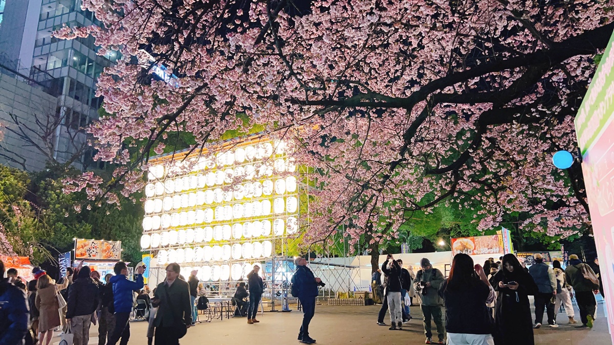 像日劇那樣過一個春天!東京三月的櫻花拍照觀察,與15座東京賞櫻名所與櫻花公園散步全紀錄,首推上野恩賜公園、新宿御苑、井之頭恩賜公園 @。CJ夫人。 像日劇那樣過一個春天!東京三月的櫻花拍照觀察,與15座東京賞櫻名所與櫻花公園散步全紀錄,首推上野恩賜公園、新宿御苑、井之頭恩賜公園 @。CJ夫人。