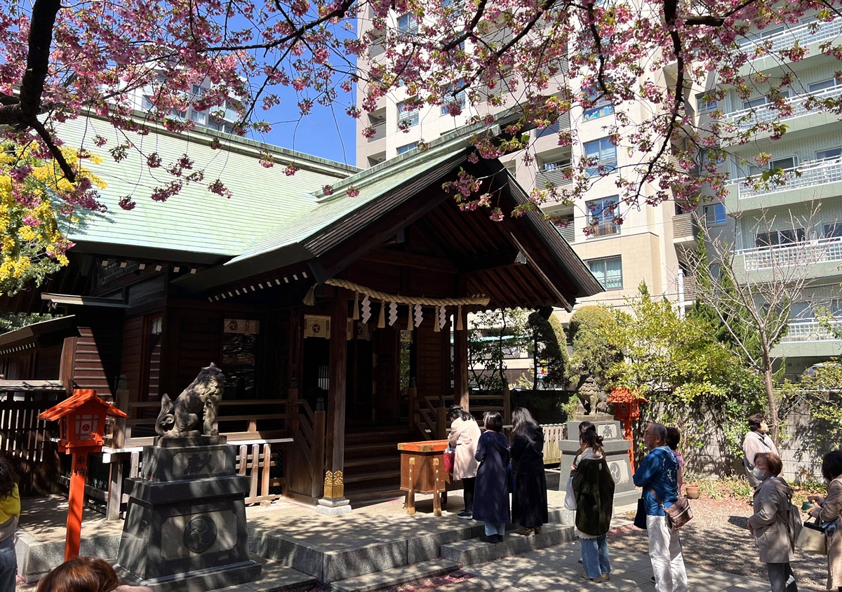 像日劇那樣過一個春天！東京三月的櫻花拍照觀察，與15座東京賞櫻名所與櫻花公園散步全紀錄，首推上野恩賜公園、新宿御苑、井之頭恩賜公園 @。CJ夫人。