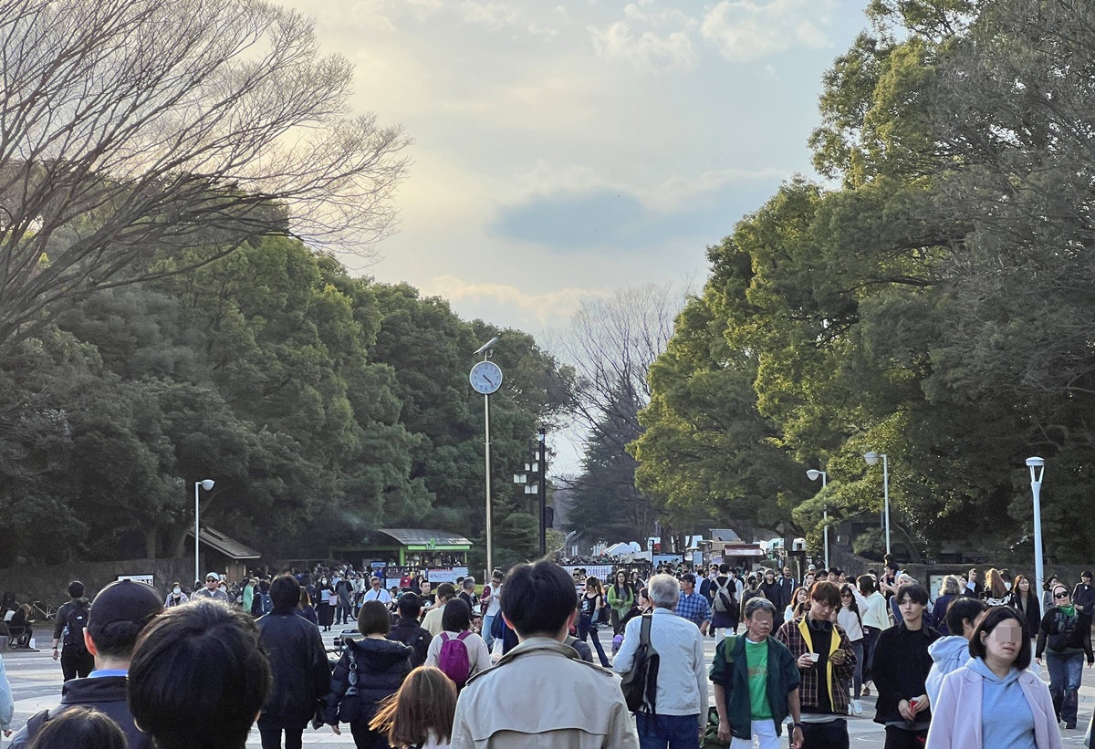 像日劇那樣過一個春天！東京三月的櫻花拍照觀察，與15座東京賞櫻名所與櫻花公園散步全紀錄，首推上野恩賜公園、新宿御苑、井之頭恩賜公園 @。CJ夫人。