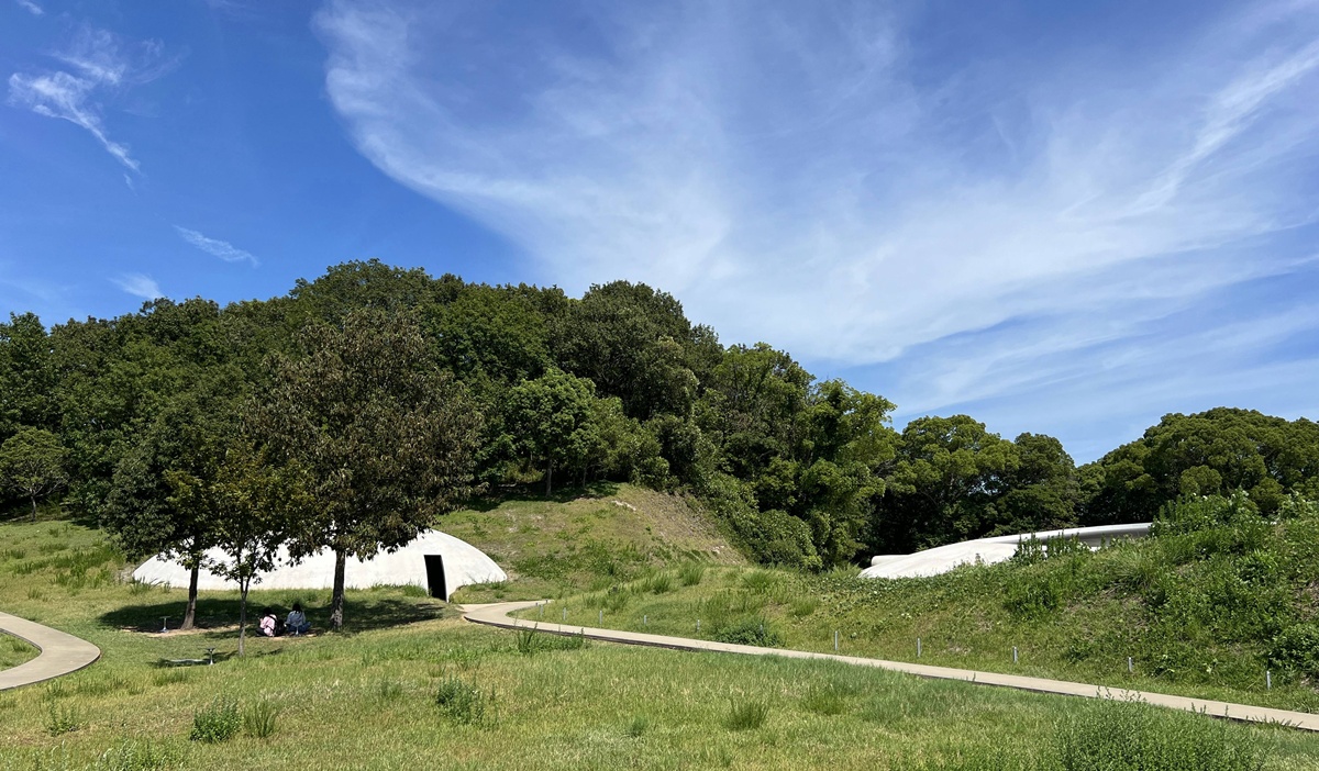 不只是瀨戶內海藝術祭！日本瀨戶內海自由行8天7夜跳島筆記，與藝術共生、心流共振的27段島嶼小劇場 @。CJ夫人。