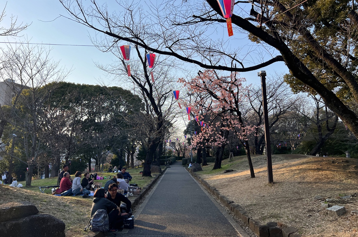 像日劇那樣過一個春天！東京三月的櫻花拍照觀察，與15座東京賞櫻名所與櫻花公園散步全紀錄，首推上野恩賜公園、新宿御苑、井之頭恩賜公園 @。CJ夫人。