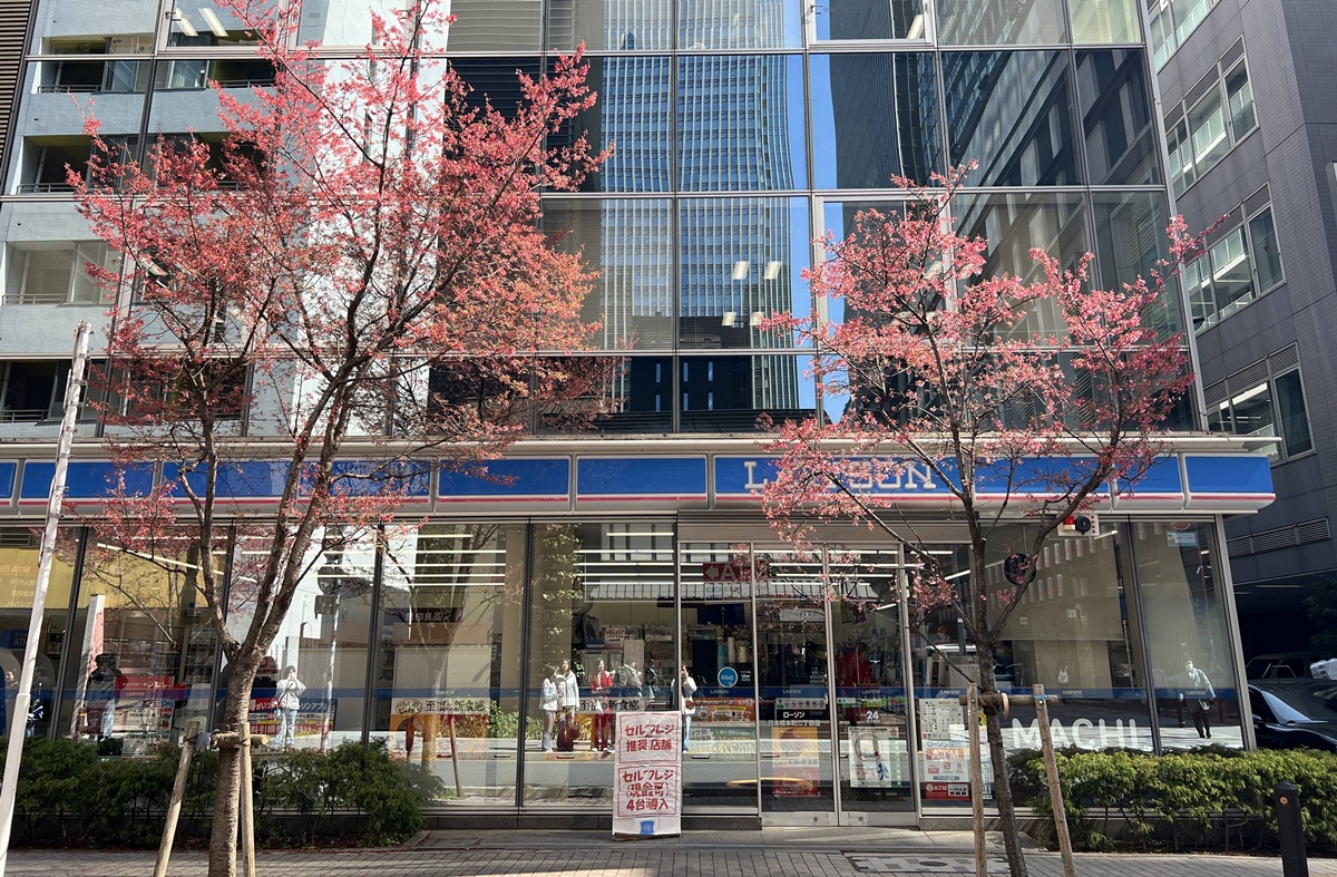 像日劇那樣過一個春天!東京三月的櫻花拍照觀察,與15座東京賞櫻名所與櫻花公園散步全紀錄,首推上野恩賜公園、新宿御苑、井之頭恩賜公園 @。CJ夫人。 像日劇那樣過一個春天!東京三月的櫻花拍照觀察,與15座東京賞櫻名所與櫻花公園散步全紀錄,首推上野恩賜公園、新宿御苑、井之頭恩賜公園 @。CJ夫人。