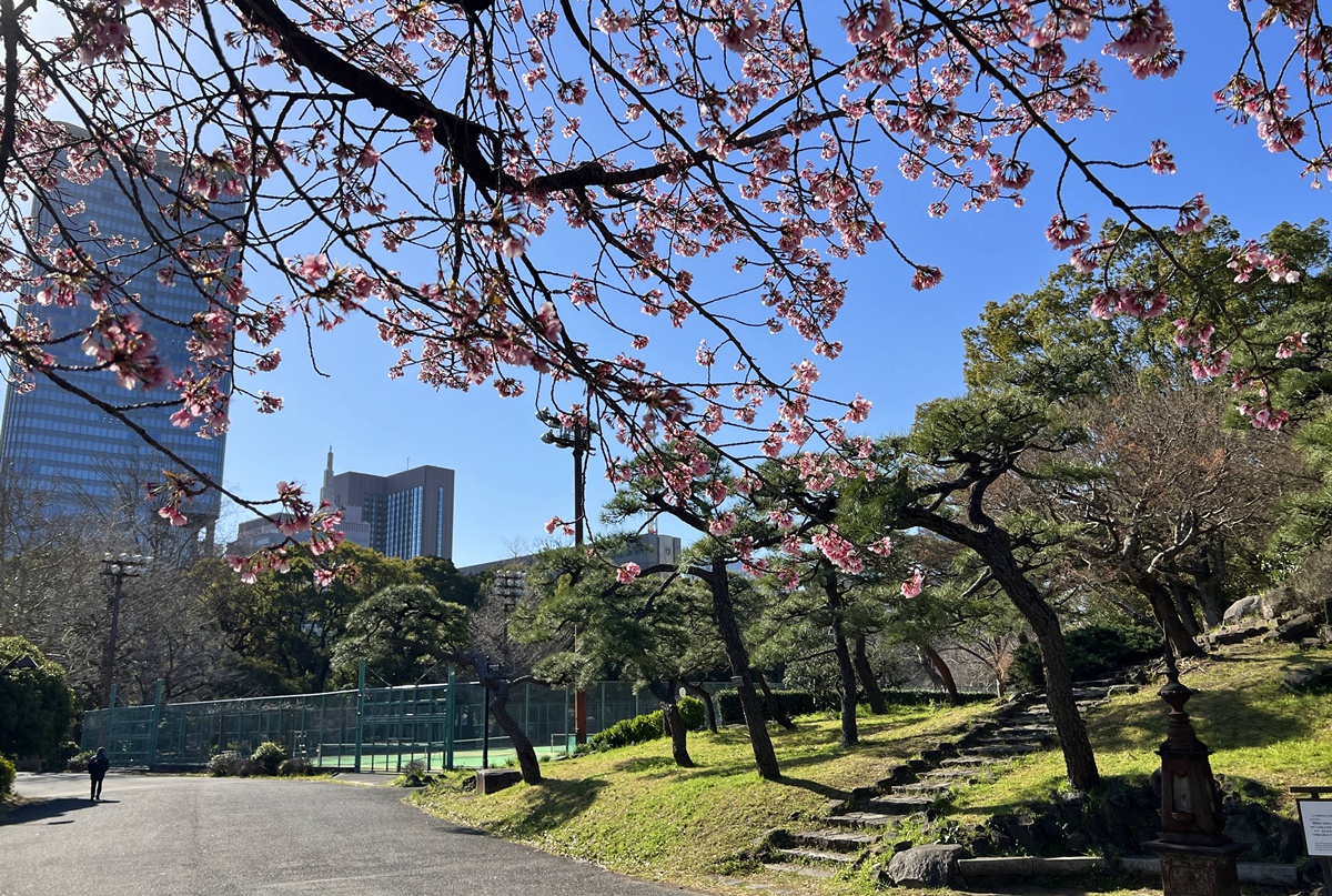 像日劇那樣過一個春天!東京三月的櫻花拍照觀察,與15座東京賞櫻名所與櫻花公園散步全紀錄,首推上野恩賜公園、新宿御苑、井之頭恩賜公園 @。CJ夫人。 像日劇那樣過一個春天!東京三月的櫻花拍照觀察,與15座東京賞櫻名所與櫻花公園散步全紀錄,首推上野恩賜公園、新宿御苑、井之頭恩賜公園 @。CJ夫人。
