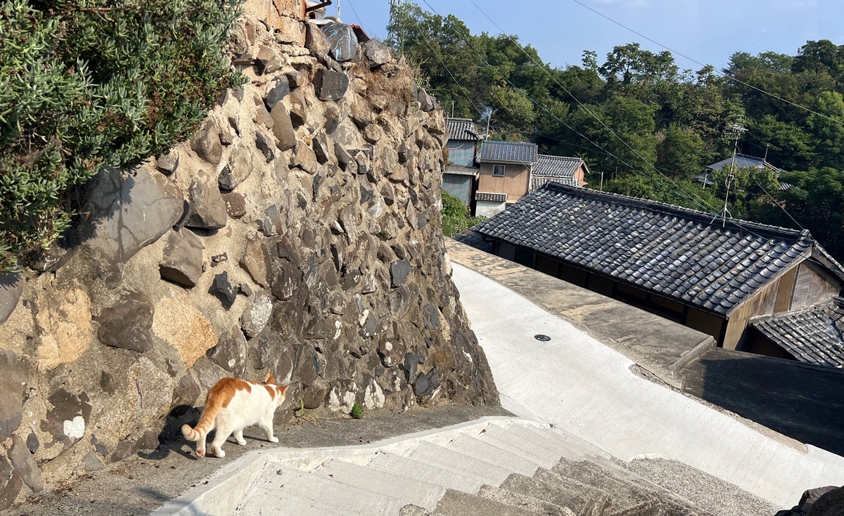 不只是瀨戶內海藝術祭！日本瀨戶內海自由行8天7夜跳島筆記，與藝術共生、心流共振的27段島嶼小劇場 @。CJ夫人。