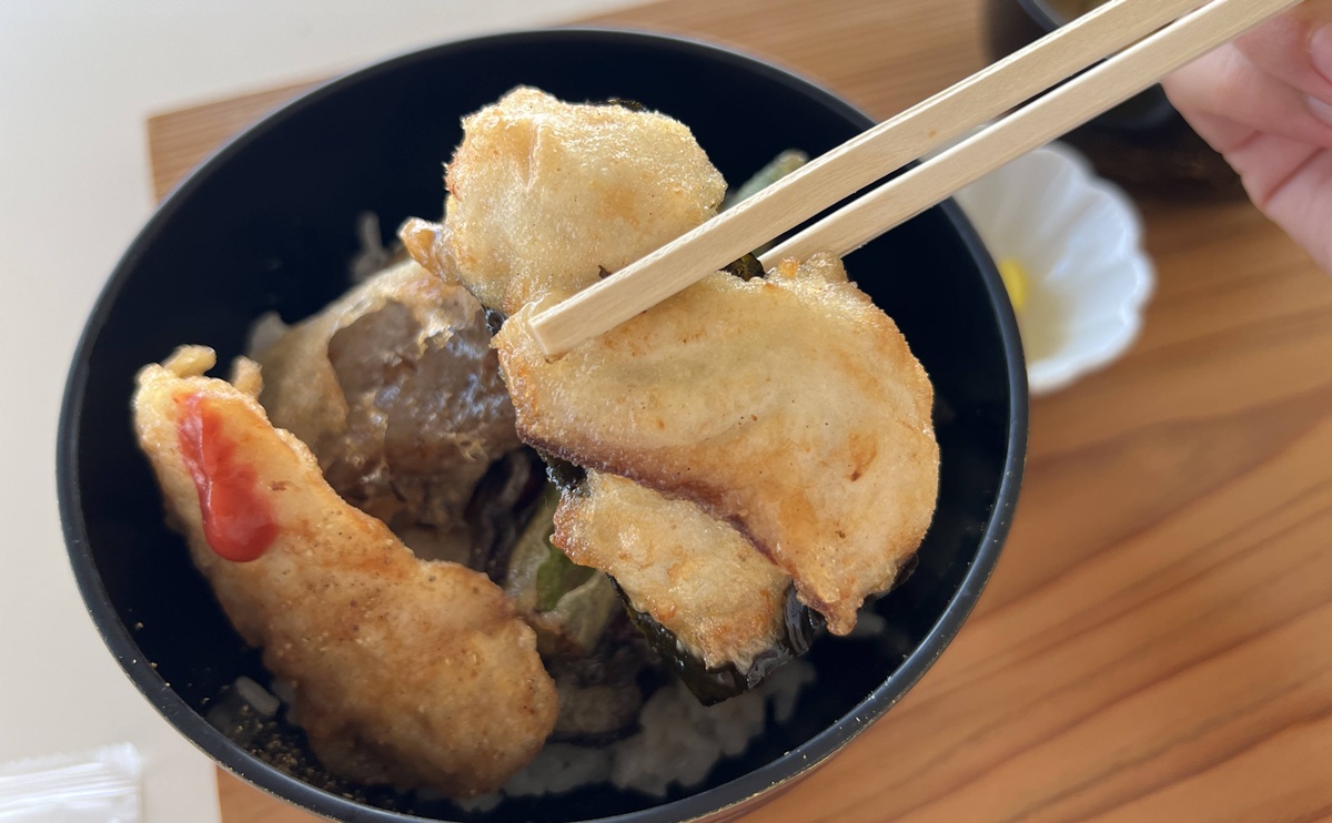 日本瀨戶內最安靜的藝術島！我在空屋、舊街、老器物裡看見了時間靜止的空之美學｜日本香川高松自助旅行 女木島一日散策 @。CJ夫人。