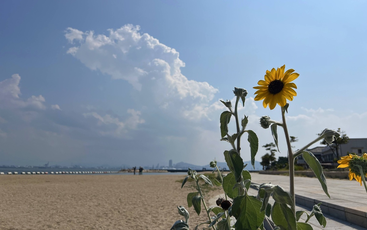 日本瀨戶內最安靜的藝術島！我在空屋、舊街、老器物裡看見了時間靜止的空之美學｜日本香川高松自助旅行 女木島一日散策 @。CJ夫人。